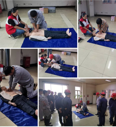 ×ðÁú¿Ê±- ¹Ù·½ÍøÕ¾